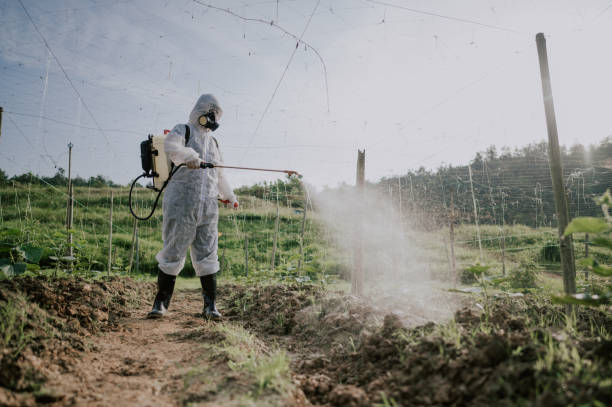 Best Best Pest Control Companies  in Gleason, TN