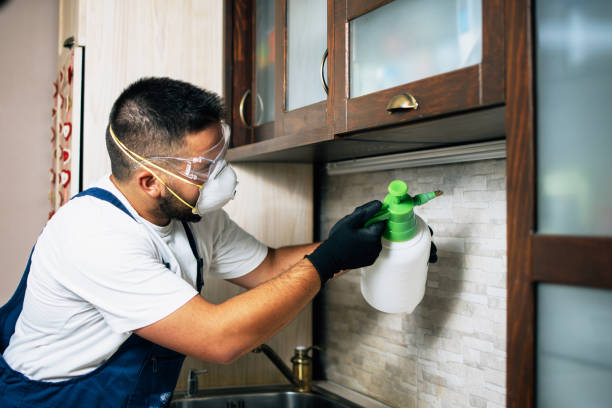 Best Pest Prevention Services  in Gleason, TN