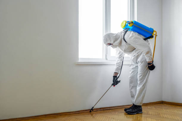 Best Insect Control  in Gleason, TN