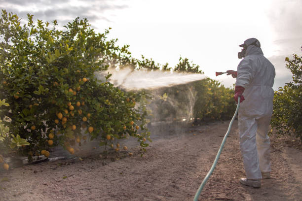Best Cockroach Control Services  in Gleason, TN
