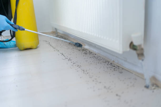 Reliable Gleason, TN Pest Control Solutions