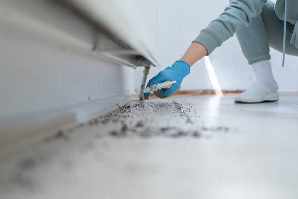 Best Pest Prevention Services  in Gleason, TN